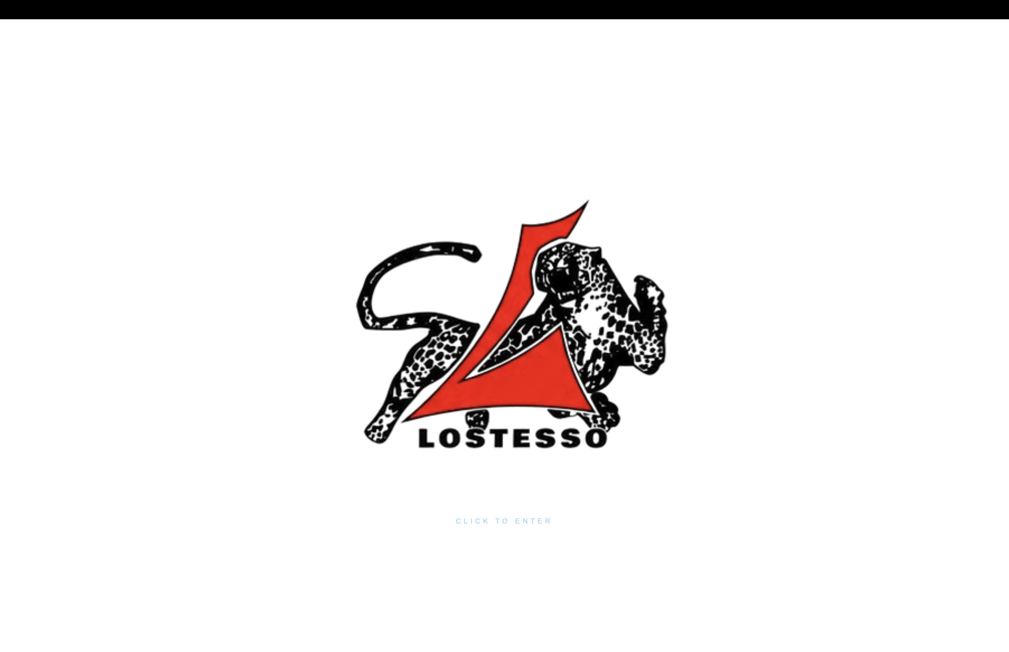 Project Preview